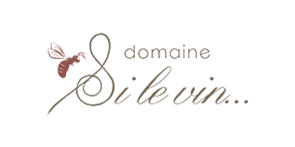 Domaine Si le Vin logo